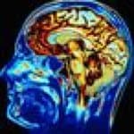 neuroscience