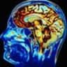 neuroscience